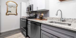 The Access Gallery 11