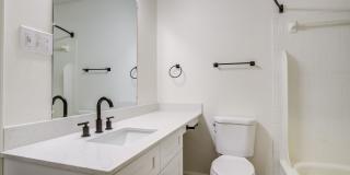 The Lily The Lily Gallery 14