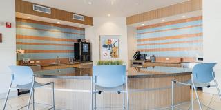 Domain at Kirby Gallery 64