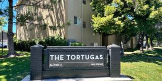 Tortugas Apartments Gallery 1
