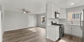 Willie James Gallery 1