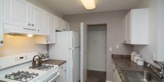 Town Walk at Hamden Hills Gallery 20