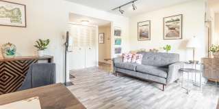 Willow Oaks Gallery 9