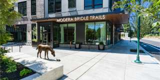 Modera Bridle Trails Modera Bridle Trails Gallery 43