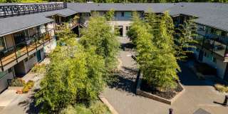 Uptown Lake Oswego Gallery 76
