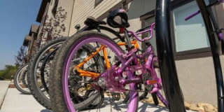 Wintergreen Ridge Gallery 32