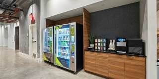 Luna at Viera Gallery 16