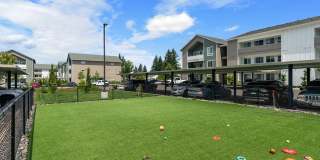 Meritum Evergreen Gallery 31