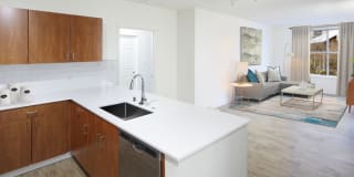 Avalon Bellevue Gallery 2