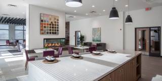 Beecher Terrace III Gallery 4