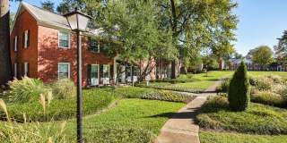 Georgian Woods Gallery 12