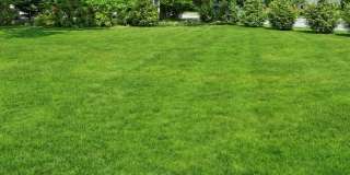 204 Deerfield Ln Gallery 29