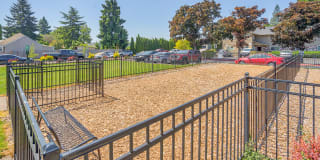 Courtyards at Cedar Hills Gallery 18