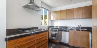 8787 Shoreham Dr Gallery 17