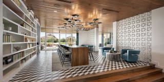 Roadrunner on McDowell Gallery 6