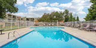 Royal Oaks Gallery 7