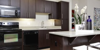 Avalon Ocean Avenue Gallery 6