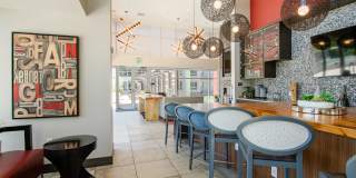 Vive on the Park Gallery 16