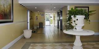 Forest Place Gallery 6