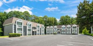 The Harrison Gallery 16