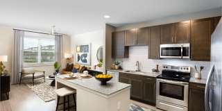 Allora Cinco Ranch Gallery 24