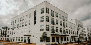 The Taylor Gallery 24