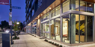 The Linden Gallery 27