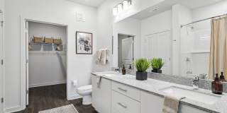 Ascend at Carlton Gallery 40