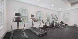 The Napier Gallery 18