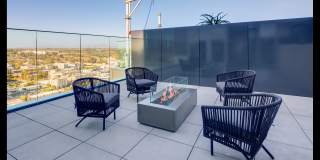 The Merian Gallery 19