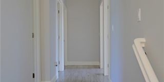132 Island Coral Gallery 32