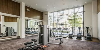 The Flats Cityline The Flats Cityline Gallery 13