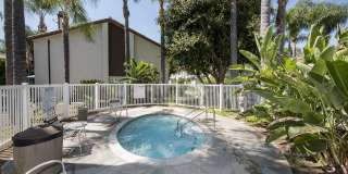 319 Molokai Drive Gallery 10