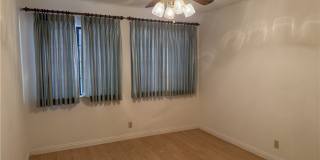 19248 Palm Gallery 7