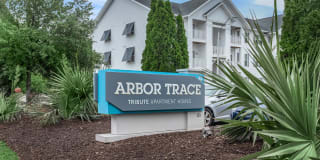 Arbor Trace Gallery 35