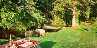 Norwood Gardens Gallery 24