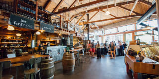Windsor Cirrus Gallery 54
