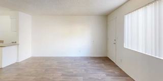 San Rivello Gallery 17