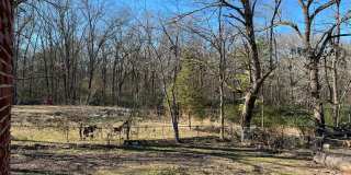 8018 Mabelvale Pike, Little Rock AR 72209 - Large 4br 3ba with tons of updates on huge lot Gallery 23