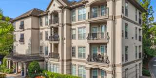 Avana Uptown Gallery 2