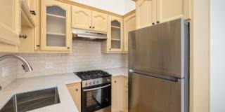 1314 Palm Gallery 20