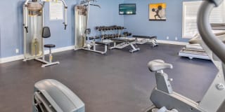 Spectra at Tamarac Gallery 5