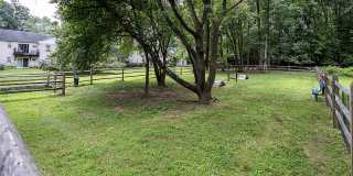 The Dorchester Gallery 14