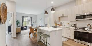 Aria on the Row Gallery 3