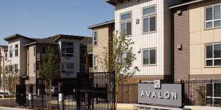 Avalon North Creek Gallery 34