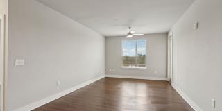 The Lofts at Wildlight Gallery 48