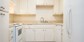 Elan View Pointe Gallery 18