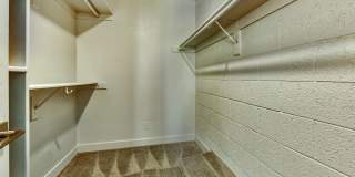 TelaVerde Gallery 10