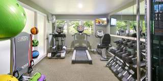 Vista Ridge Gallery 16