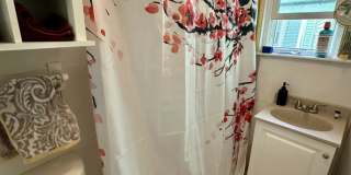 539 Washington Gallery 7